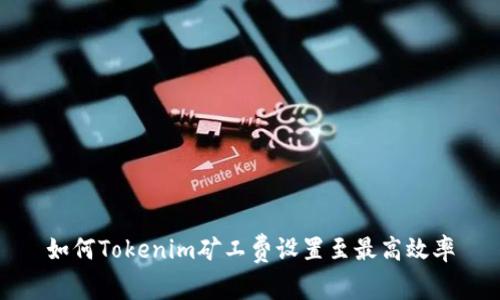 如何Tokenim矿工费设置至最高效率