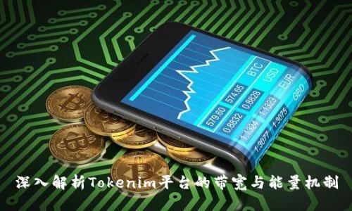 深入解析Tokenim平台的带宽与能量机制