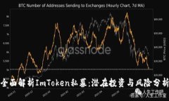 全面解析ImToken私募：潜在投资与风险分析