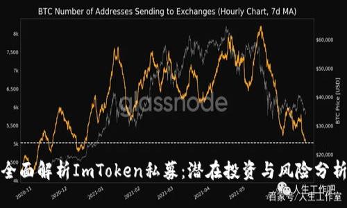 全面解析ImToken私募：潜在投资与风险分析