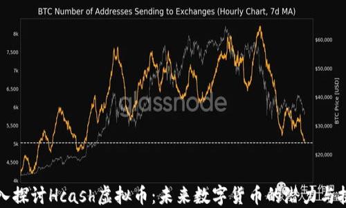 
深入探讨Hcash虚拟币：未来数字货币的潜力与挑战