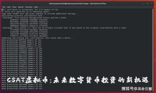 CSAT虚拟币：未来数字货币投资的新机遇
