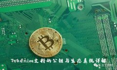 Tokenim支持的公链与生态系统详解