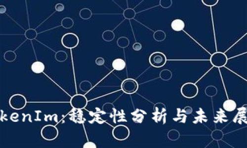 TokenIm：稳定性分析与未来展望