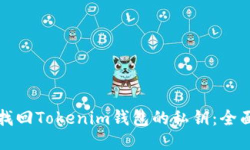 如何找回Tokenim钱包的私钥：全面指南