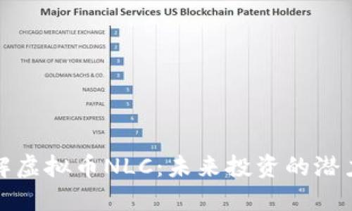 深入了解虚拟币NLC：未来投资的潜力与风险