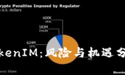 TokenIM：风险与机遇分析