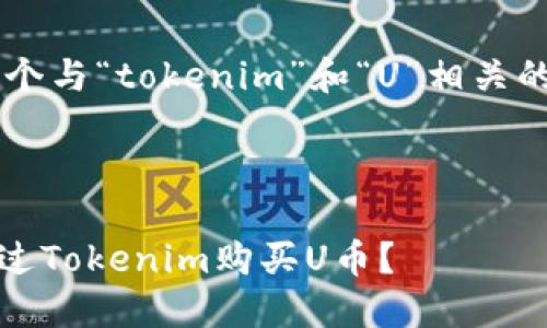 根据您的需求，我将为您创建一个与“tokenim”和“U”相关的、关键词、内容大纲和相关问题。

### 标题及关键词

Tokenim交易平台详解：如何通过Tokenim购买U币？