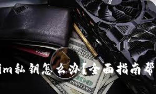 找不到Tokenim私钥怎么办？全面指南帮助你解决问题