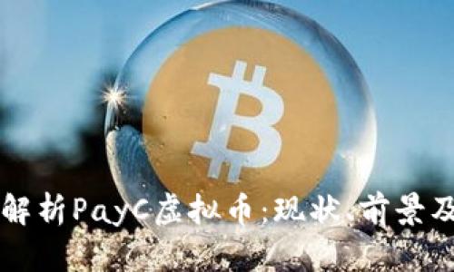 全面解析PayC虚拟币：现状、前景及应用