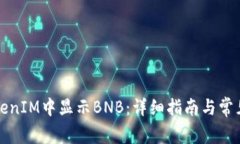 如何在TokenIM中显示BNB：详