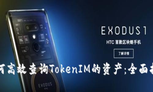 如何高效查询TokenIM的资产：全面指南