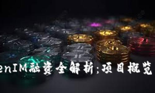 以太坊TokenIM融资全解析：项目概览及投资机会