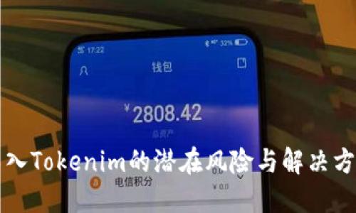 导入Tokenim的潜在风险与解决方案