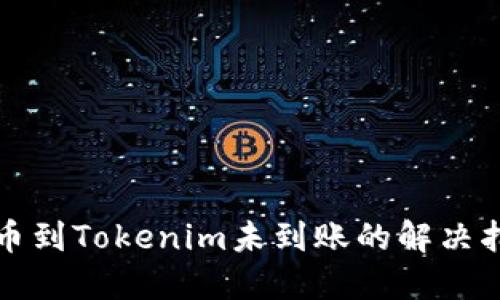 提币到Tokenim未到账的解决指南