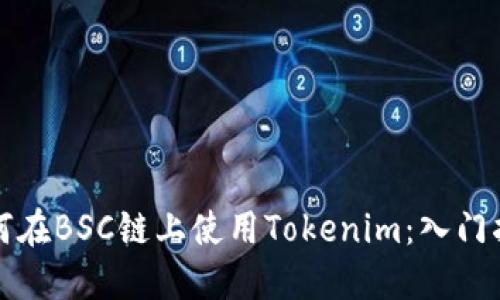 如何在BSC链上使用Tokenim：入门指南