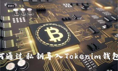 Title: 如何通过私钥导入Tokenim钱包：详细指南