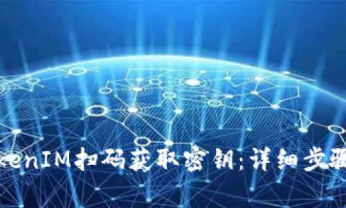 如何通过TokenIM扫码获取密钥：详细步骤与注意事项