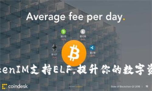 如何使用TokenIM支持ELF，提升你的数字资产管理效率