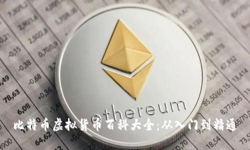 比特币虚拟货币百科大全：从入门到精通