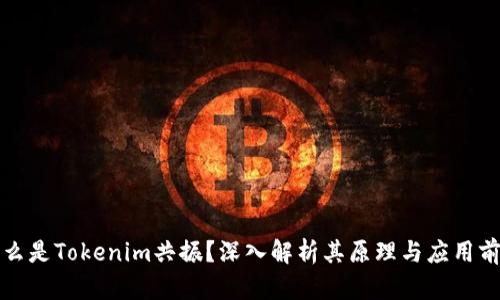 什么是Tokenim共振？深入解析其原理与应用前景