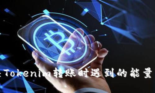 如何解决Tokenim转账时遇到的能量不足问题