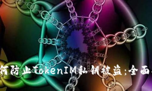  如何防止TokenIM私钥被盗：全面指南