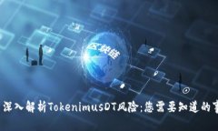  深入解析TokenimusDT风险：您需要知道的事