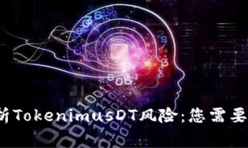  深入解析TokenimusDT风险：您需要知道的事