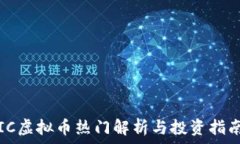   IC虚拟币热门解析与投资