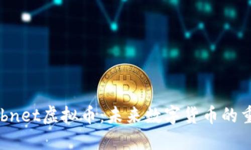 深入探索Subnet虚拟币：未来数字货币的重要组成部分