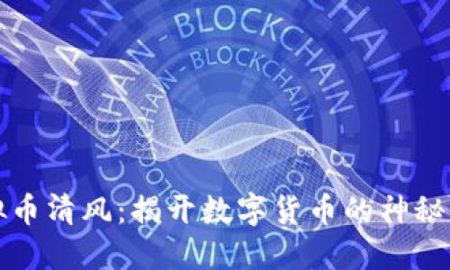 虚拟币清风：揭开数字货币的神秘面纱