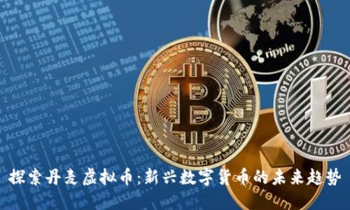 探索丹麦虚拟币：新兴数字货币的未来趋势