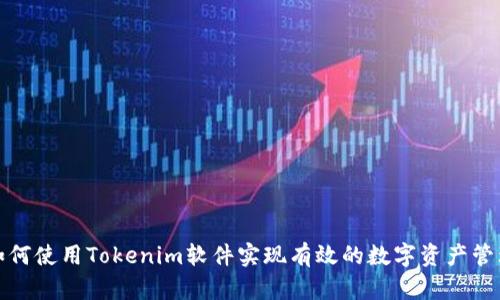 如何使用Tokenim软件实现有效的数字资产管理