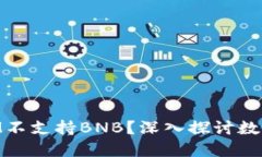 为什么TokenIM不支持BNB？深