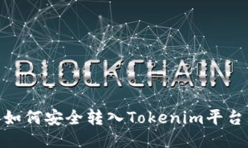 BCH分叉币如何安全转入Tokenim平台的详细指南
