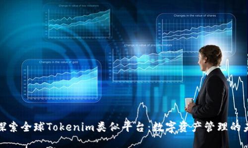 : 探索全球Tokenim类似平台：数字资产管理的未来
