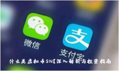 什么是虚拟币SN？深入解析