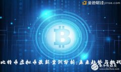 比特币虚拟币最新案例分
