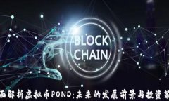 全面解析虚拟币POND：未来
