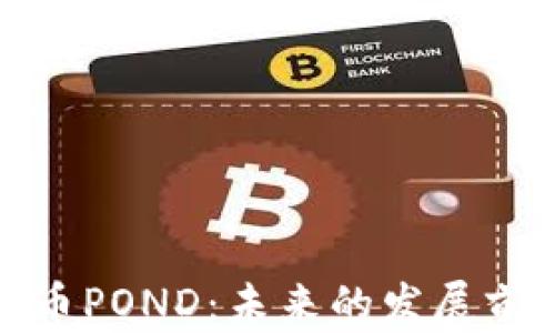 
全面解析虚拟币POND：未来的发展前景与投资策略