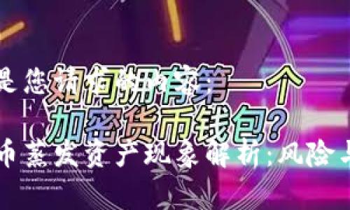 以下是您请求的内容：

虚拟币蒸发资产现象解析：风险与防范
