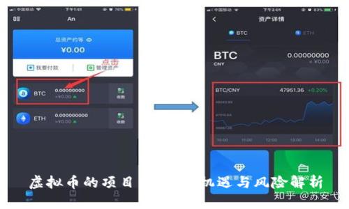 虚拟币的项目：投资新机遇与风险解析
