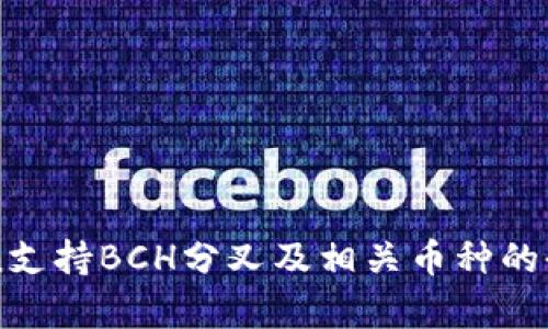 imToken支持BCH分叉及相关币种的全面解析