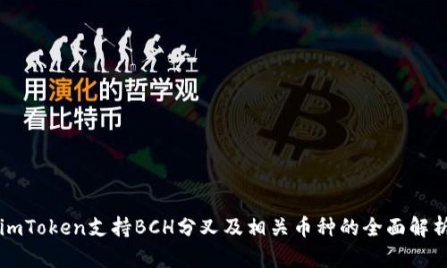 imToken支持BCH分叉及相关币种的全面解析